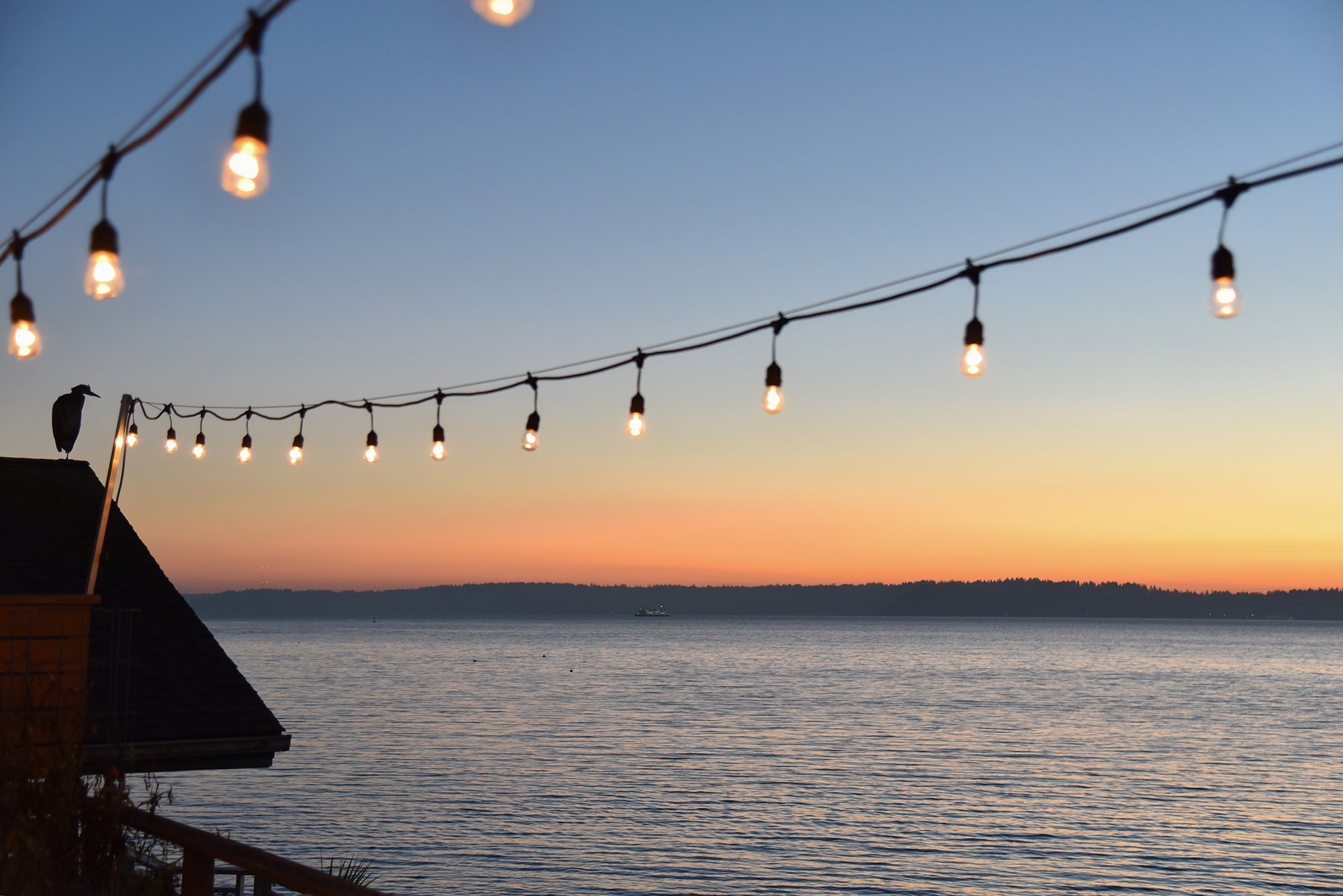 How Festoon Lighting Can Transform Your Business & Attract Customers