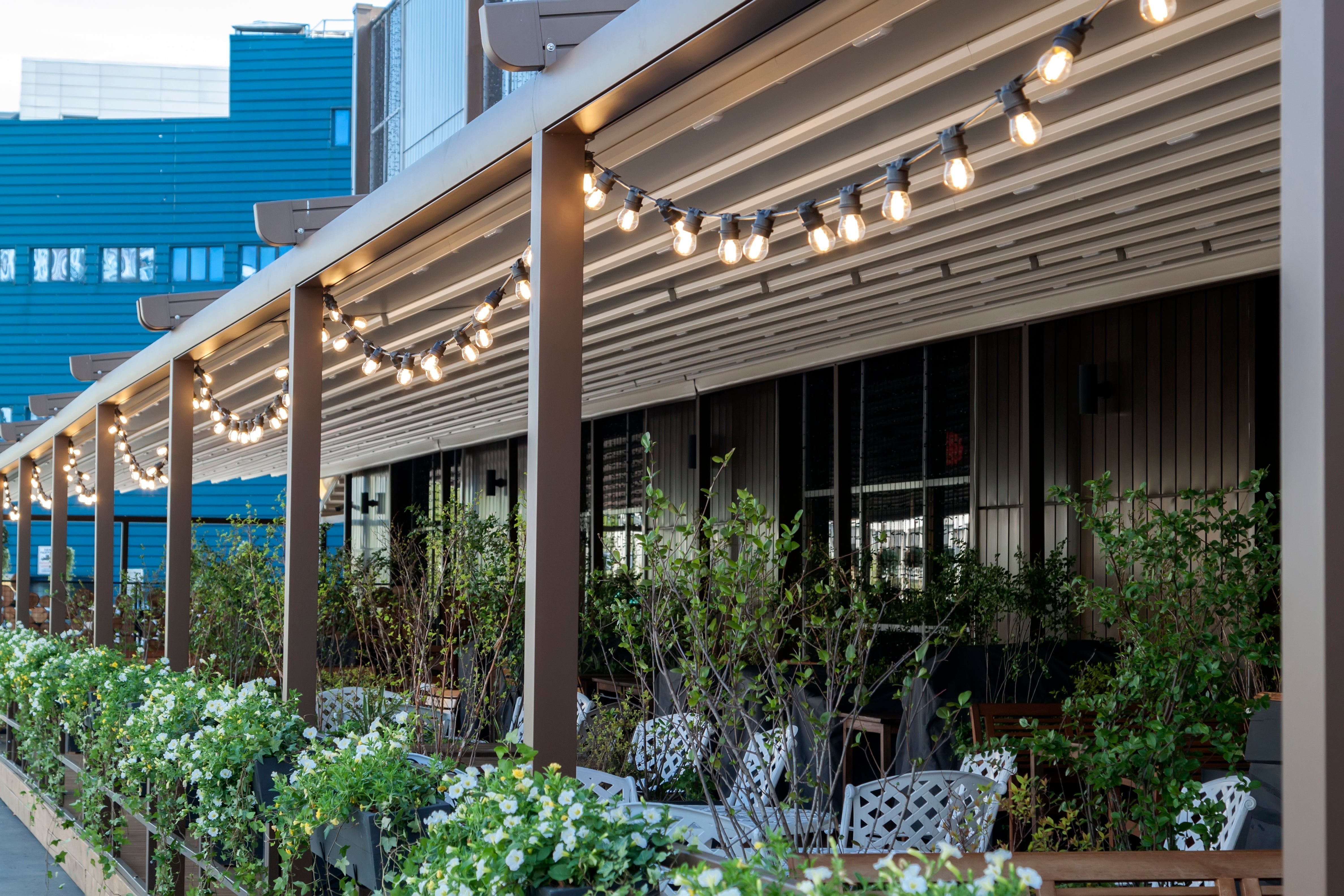8 Creative Ideas To Hang Your Outdoor Festoon Lighting