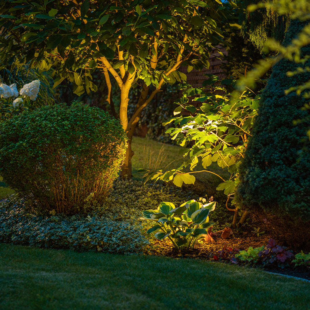 The Complete Buying Guide to Solar Wall and Spotlight Lighting for Your Garden