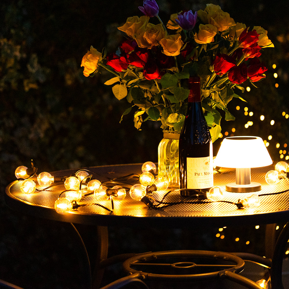 25ft Festoon Solar Lights