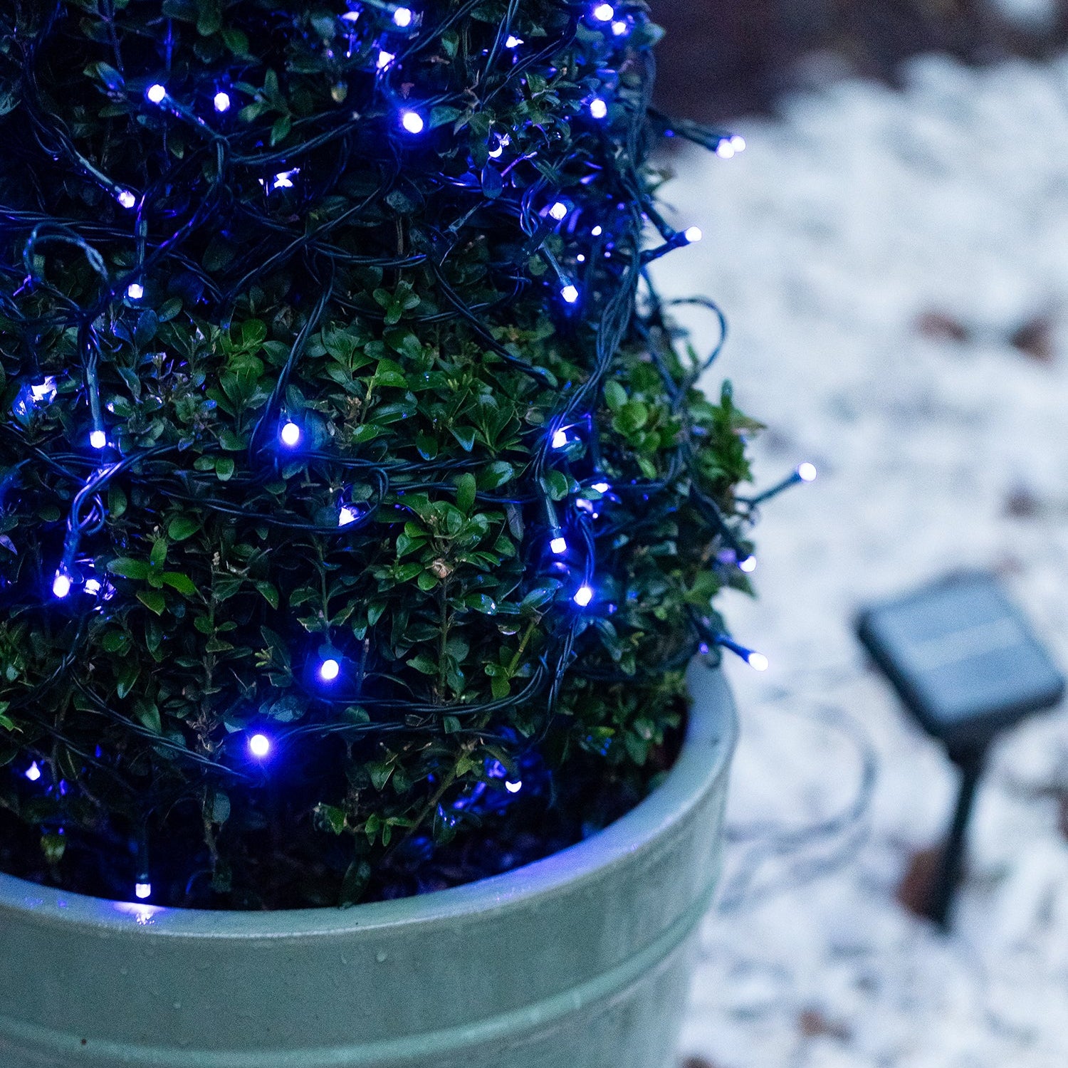 Blue outdoor solar fairy lights attached to a green plant pot, with a visible solar panel on the ground.