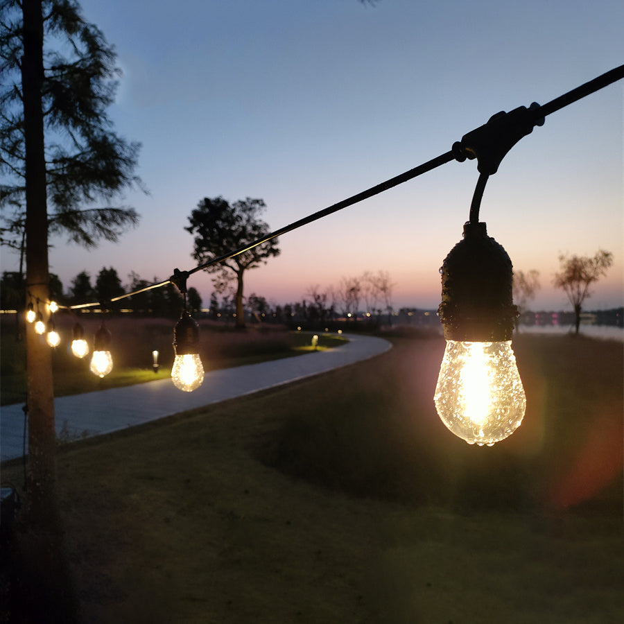 String lights with glowing bulbs against a twilight sky.