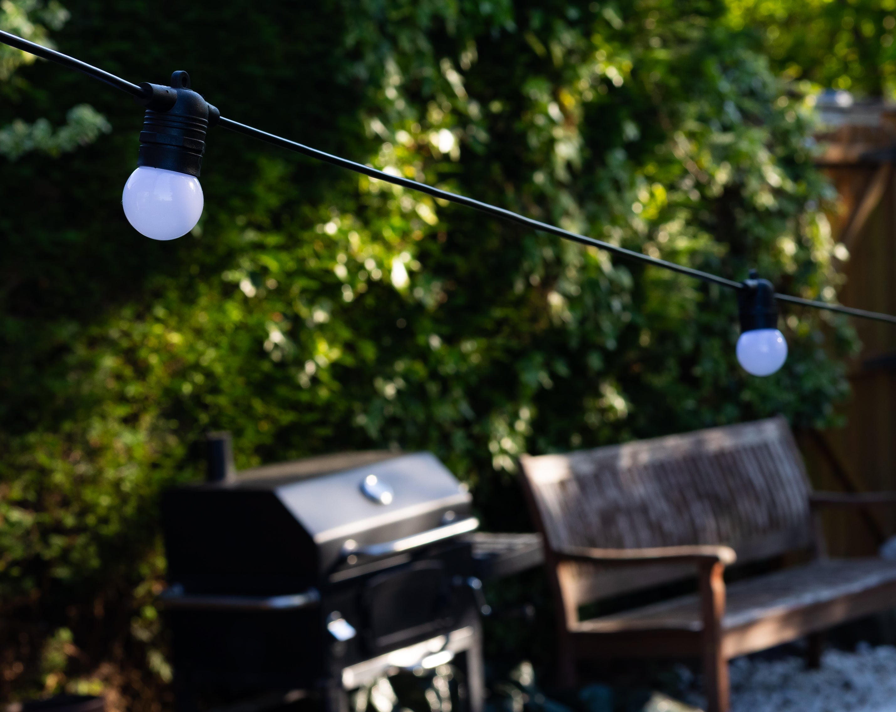String lights with white bulbs hanging above a grill and bench in a garden setting.