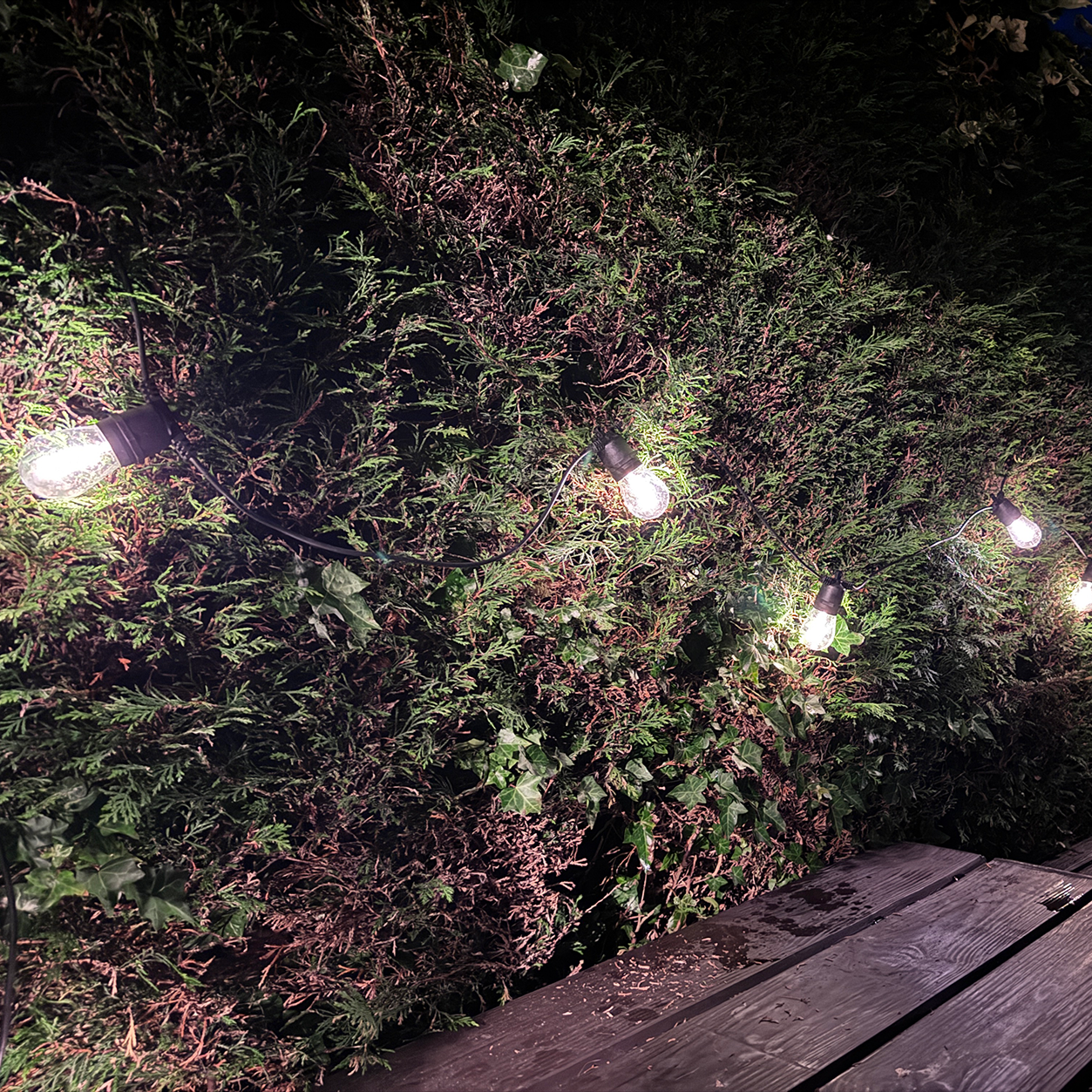 10m Solar Festoon Lights Nova Festoon Outdoor Dimmable Lighting (20 Bulbs) with Remote - Soft Warm White