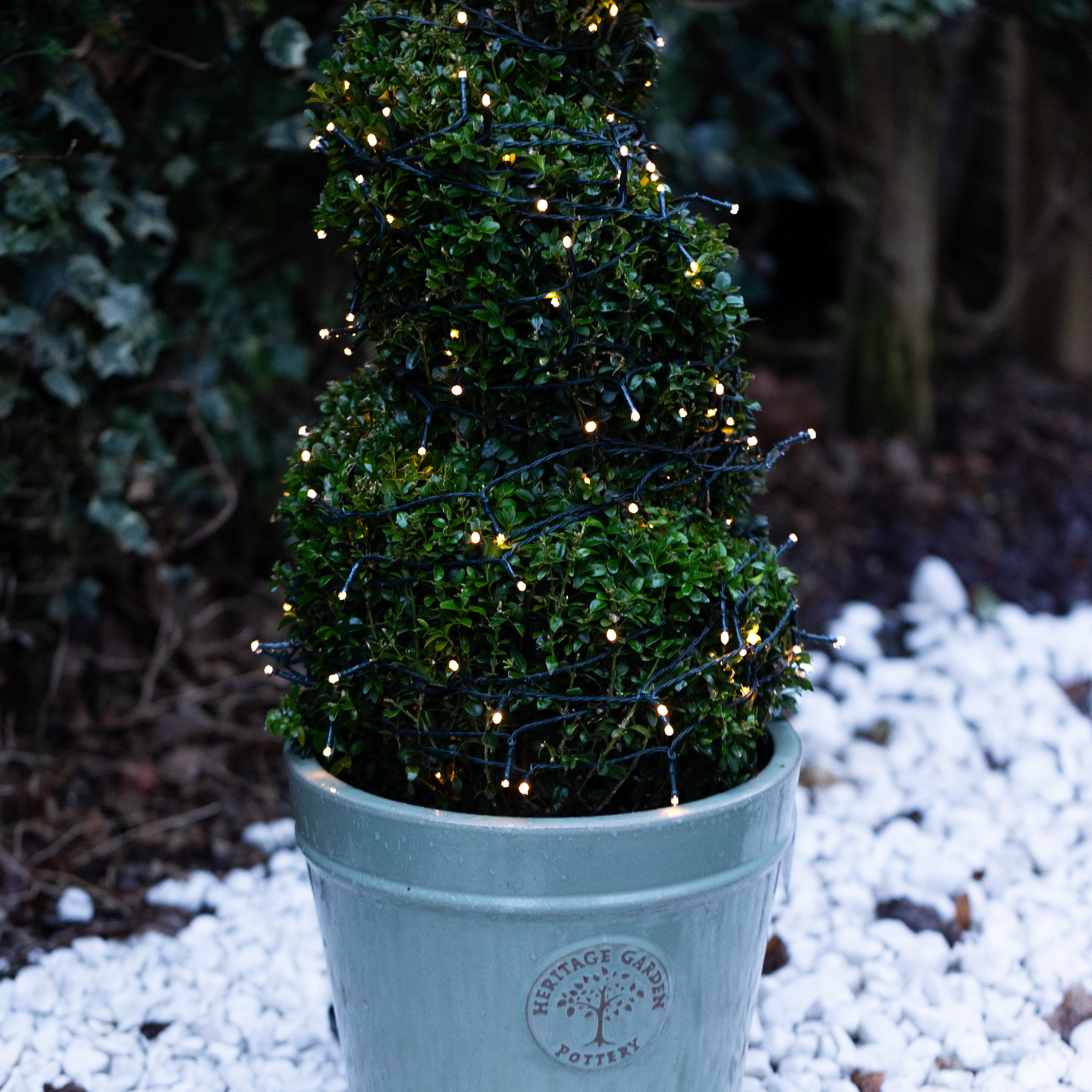 Solar fairy lights in warm white displayed around a green potted plant outdoors, with a snowy ground and trees in the background.