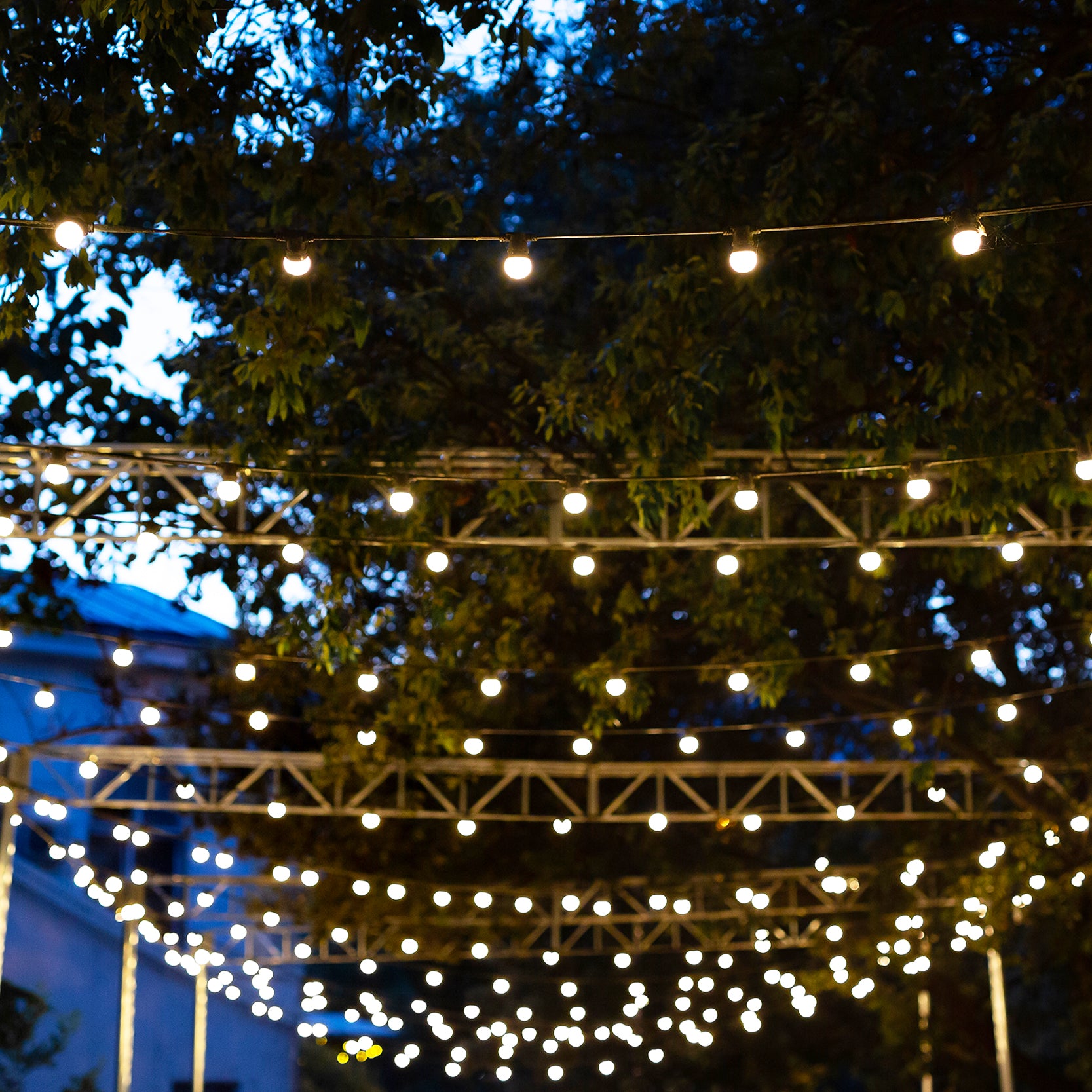 3-Way Festoon Light Splitter