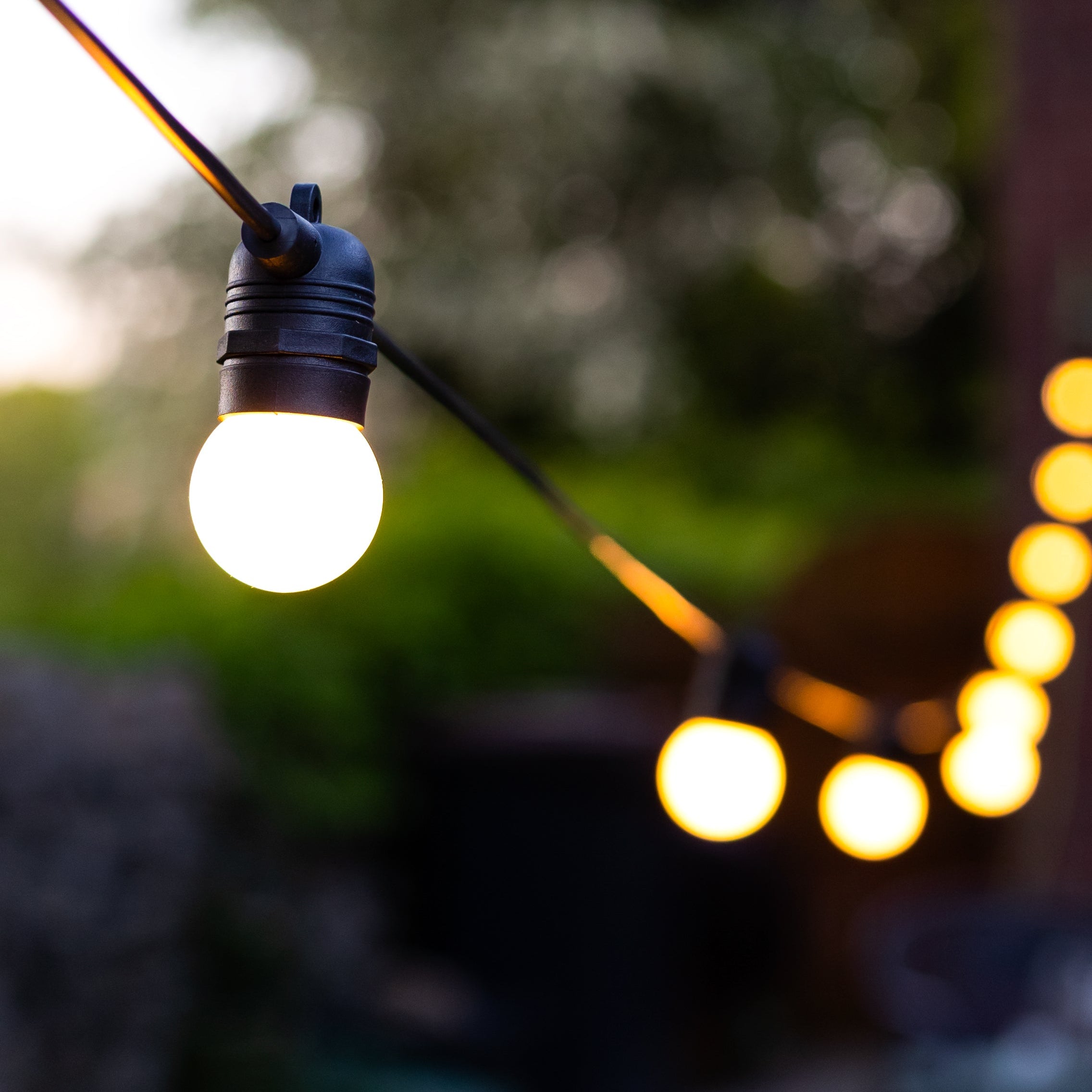 Festoon Lights Outdoor IP65 Rated