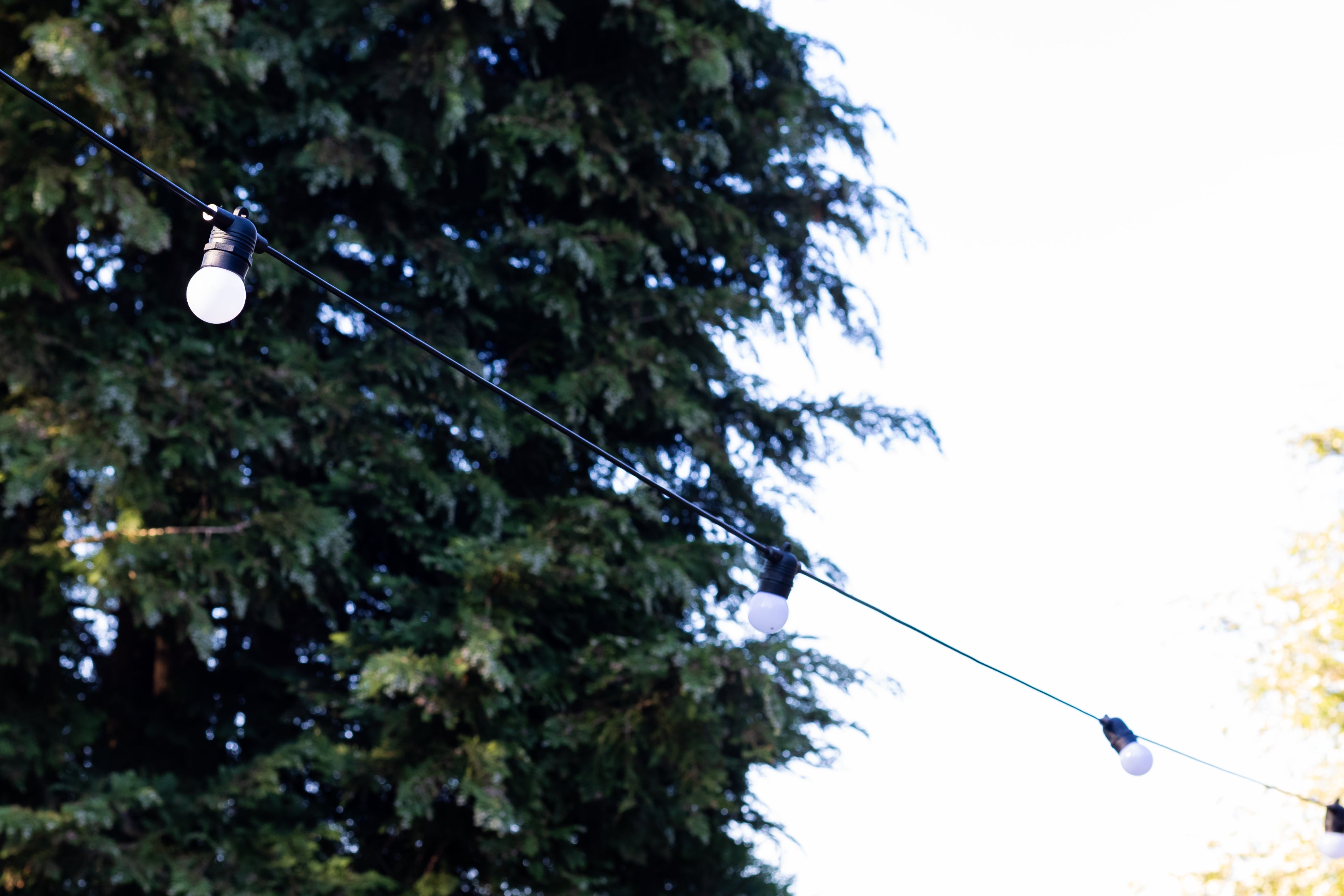 5m - 60m Festoon Heavy Duty Meribel Lighting IP67 - Soft Warm White - Frosted Bulbs on Black Rubber Cable