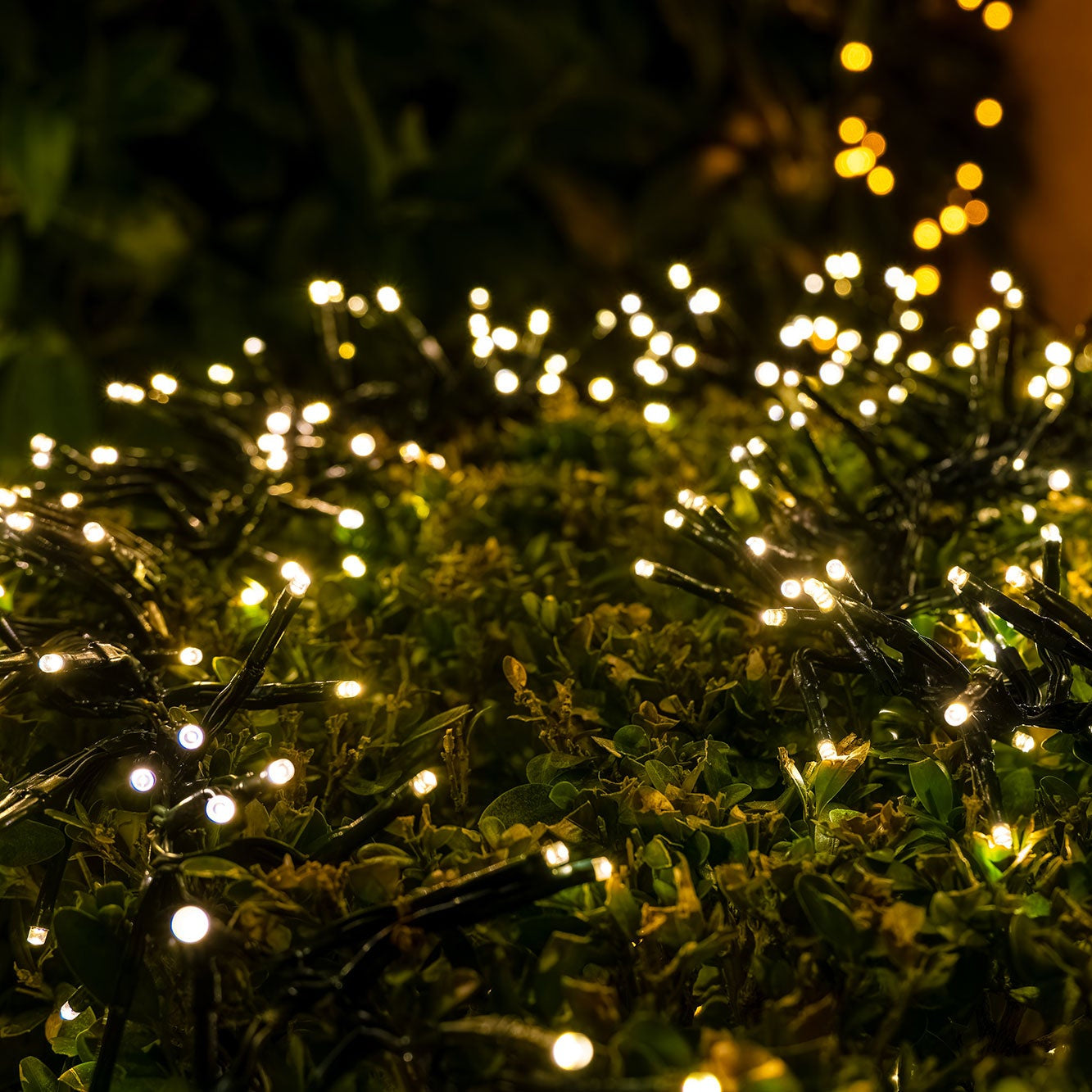 Fairy Solar Garden Lights