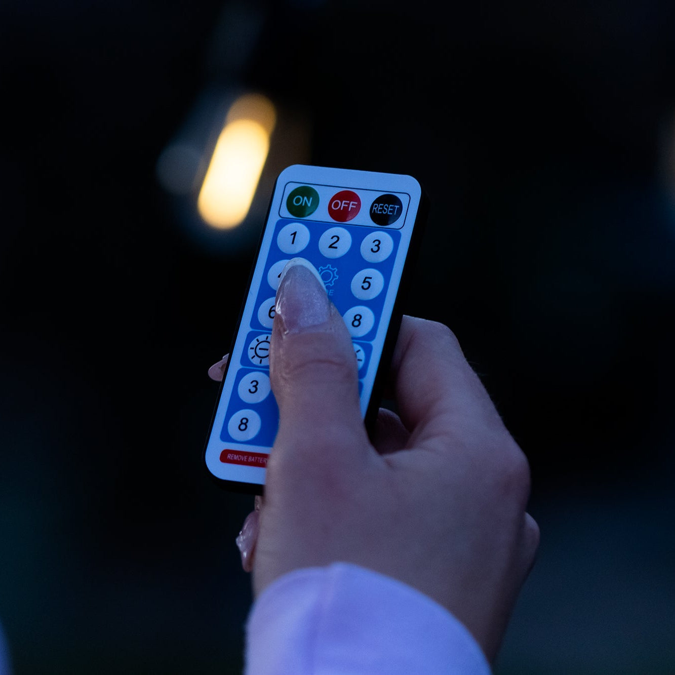 Festoon Remote Control Lighting