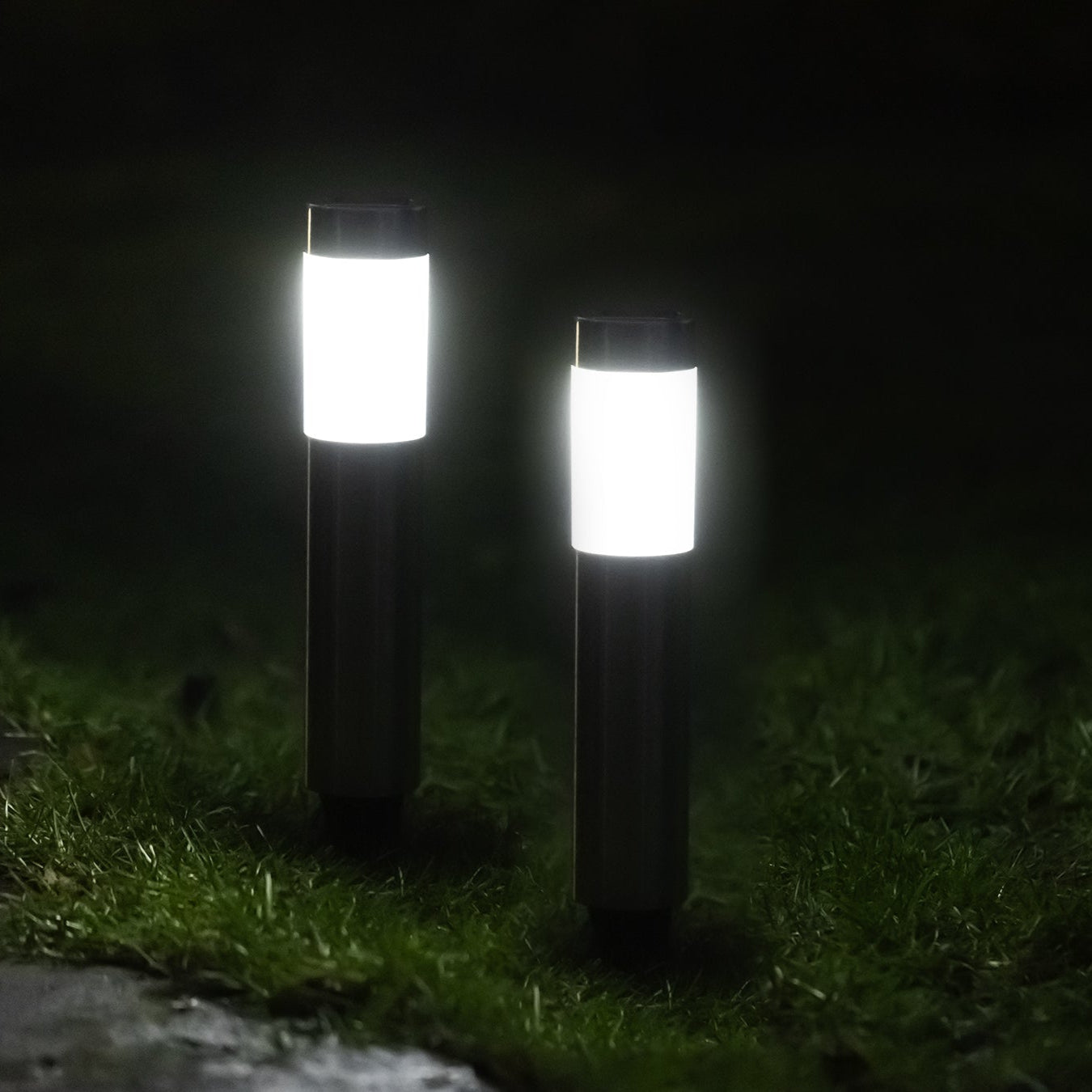 Solar Pathway Lighting 2 Pack