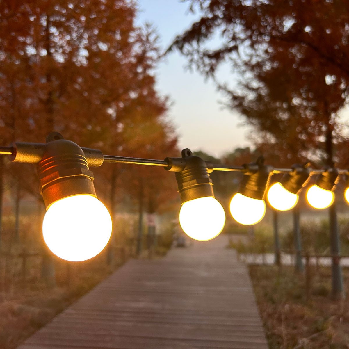 hanging outdoor festoon lights 